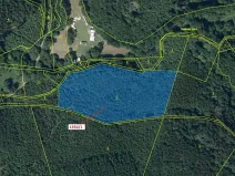 Dražba lesa, Čestín, 13976 m2