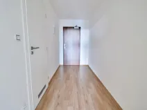Pronájem bytu 1+kk, Brno - Slatina, Řípská, 40 m2