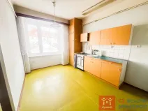 Prodej bytu 1+1, Znojmo, Loucká, 42 m2