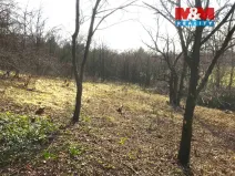 Prodej zahrady, Postoloprty - Mradice, 1582 m2