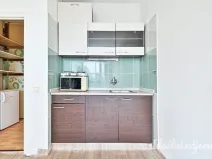 Pronájem bytu 1+kk, Brno - Lesná, Halasovo náměstí, 22 m2