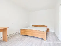 Pronájem bytu 2+kk, Brno - Královo Pole, Berkova, 41 m2