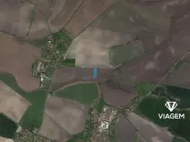 Prodej podílu pole, Běrunice, 2634 m2