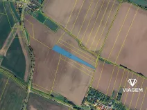 Prodej pole, Bezděčí u Trnávky, 6239 m2