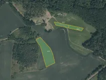 Prodej pole, Čížová, 12153 m2