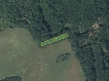 Prodej louky, Nesvačily, 9239 m2