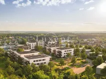 Pronájem obchodního prostoru, Kladno, 45 m2