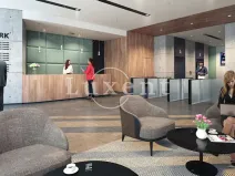 Pronájem kanceláře, Praha - Radlice, Radlická, 1000 m2