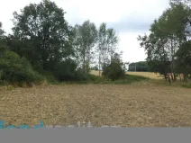 Prodej zahrady, Heřmanova Huť, 1100 m2