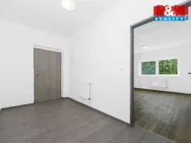 Pronájem bytu 2+kk, Radnice, Na Potocích, 49 m2