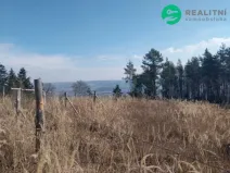 Prodej lesa, Spešov, 2643 m2