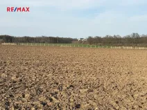 Prodej sadu/vinice, Nové Dvory, 9979 m2