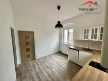 Pronájem bytu 1+1, Děčín - Děčín IV-Podmokly, Teplická, 47 m2