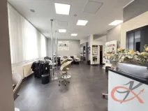 Prodej komerční nemovitosti, Prostějov, Blahoslavova, 250 m2