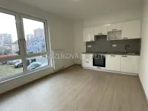 Pronájem bytu 1+kk, České Budějovice, Hálkova, 24 m2