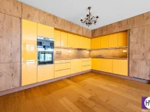 Pronájem bytu 4+kk, Praha, K Beranovu, 227 m2