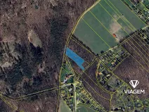 Prodej lesa, Vráž, 2989 m2