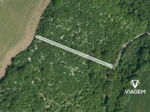 Prodej lesa, Březolupy, 1255 m2