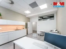 Pronájem komerční nemovitosti, Praha, Jihlavská, 30 m2