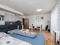 Pronájem bytu 1+kk, Heřmanova Huť - Vlkýš, U Pondu, 40 m2