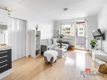 Prodej bytu 2+kk, České Budějovice - České Budějovice 2, J. Bendy, 39 m2