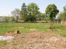 Prodej pozemku pro bydlení, Přeštice, 2575 m2