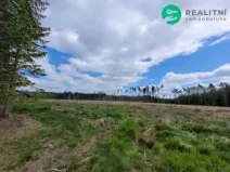 Prodej lesa, Počátky - Heřmaneč, 72939 m2