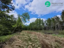 Prodej lesa, Počátky - Heřmaneč, 72939 m2