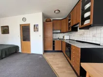 Prodej bytu 1+kk, Praha - Vysočany, bratří Dohalských, 40 m2