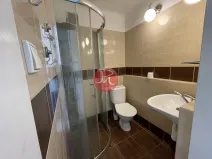 Pronájem bytu 1+kk, Ostrava, Opavská, 28 m2