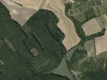 Prodej lesa, Klobouky u Brna, 11688 m2