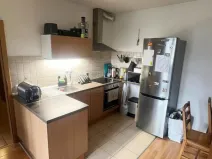 Prodej bytu 2+kk, Klecany, V Honech, 41 m2