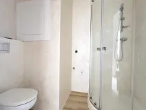 Pronájem bytu 1+1, České Budějovice - České Budějovice 2, 31 m2