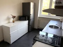 Pronájem bytu 1+1, Litvínov - Horní Litvínov, Ladova, 39 m2