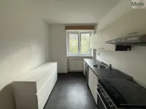 Pronájem bytu 1+1, Litvínov - Horní Litvínov, Ladova, 39 m2