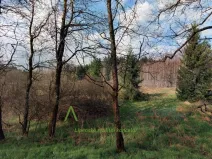 Prodej louky, Přední Výtoň, 13899 m2