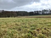 Prodej pole, Dolní Město, 124655 m2