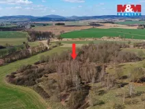 Prodej lesa, Obytce, 20042 m2