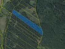 Prodej lesa, Petrovice u Sušice - Trsice, 18883 m2