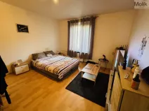 Prodej bytu 2+1, Most, Josefa Skupy, 55 m2