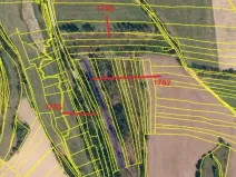 Prodej lesa, Nový Rychnov, 7440 m2