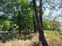 Prodej lesa, Nová Cerekev, 1967 m2