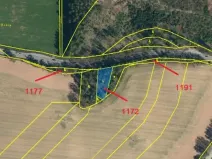 Prodej lesa, Nová Cerekev, 1967 m2