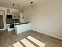 Pronájem bytu 3+kk, Praha - Podolí, Jeremenkova, 53 m2