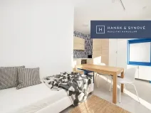 Pronájem bytu 1+kk, Brno, Francouzská, 26 m2