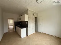 Pronájem bytu 2+1, Bílina - Teplické Předměstí, Sídliště Za Chlumem, 62 m2