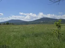 Prodej pozemku pro bydlení, Horní Stropnice, 7197 m2