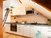 Prodej činžovního domu, České Budějovice, Fr. Hrubína, 212 m2