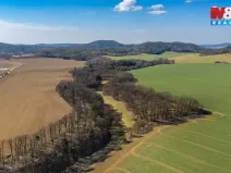 Prodej louky, Tachov, 12761 m2