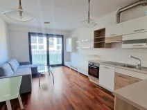 Pronájem bytu 2+kk, Praha - Žižkov, Olšanská, 60 m2